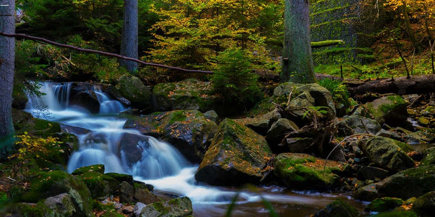 A photograph of a waterfall surrounded by lush greenery and tall trees near Kachargadh Caves