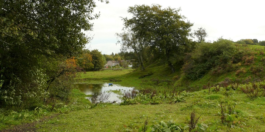 A picture of the vast greenery at a wildlife sanctuary near the Rajrappa Temple in Jharkhand