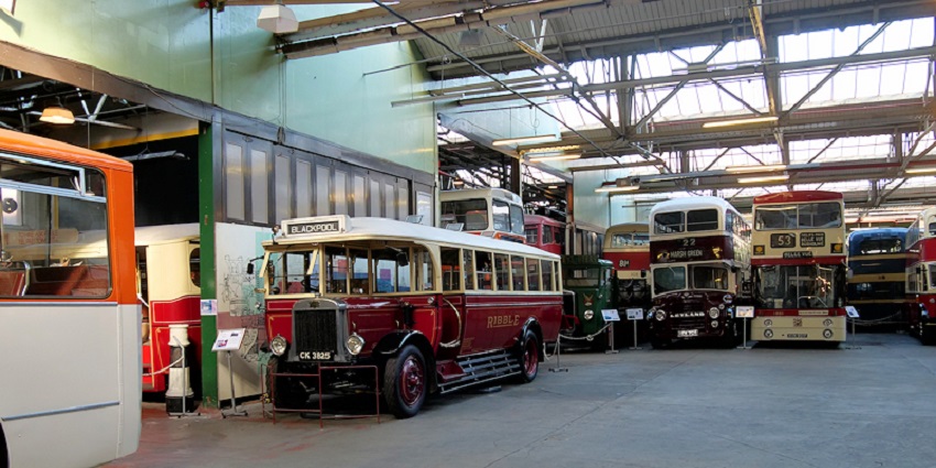 Heritage buses on display with amazing transport models, a vintage attraction.
