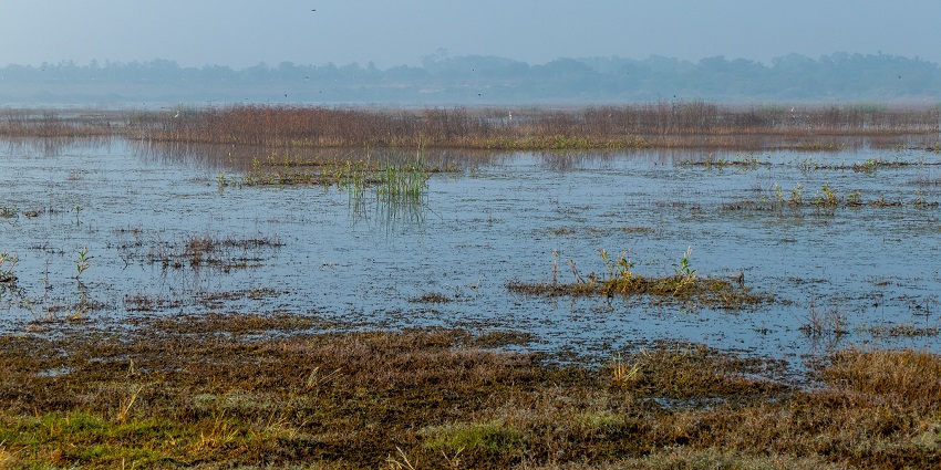 Hesaraghatta Lake, a peaceful place to visit near Bangalore within 50 kms.