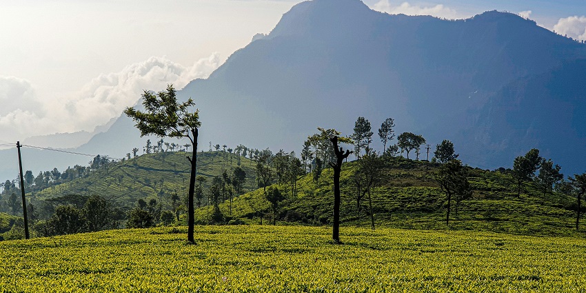 Places to visit near Coonoor feature hidden valleys offering peaceful nature trails and serenity.