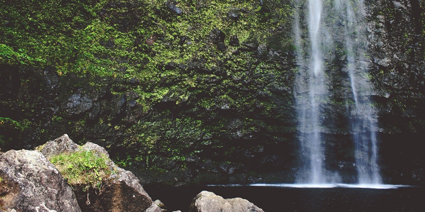 Hike through lush forest trails towards Chinchoti Waterfalls near Vasai, Maharashtra.