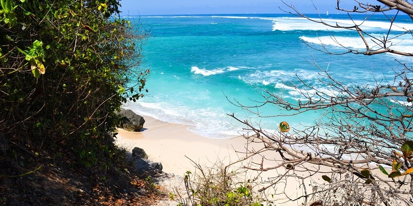 View of the white sand on Green Bowl Beach with clear blue water from among the bushes