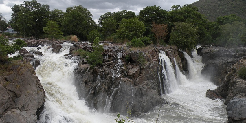 Hogenakkal Waterfalls, one of the renowned waterfalls in Trichy is a sight to behold