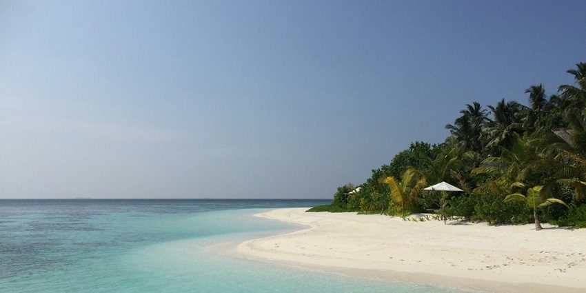 A breathtaking view of a beach surrounded by lush green trees and soft sands in the day.