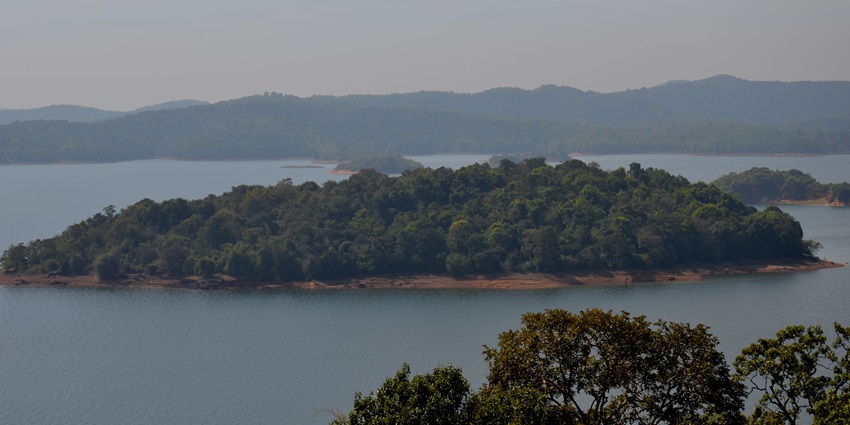 Honnemaradu, a peaceful place to see for an escape into nature's embrace