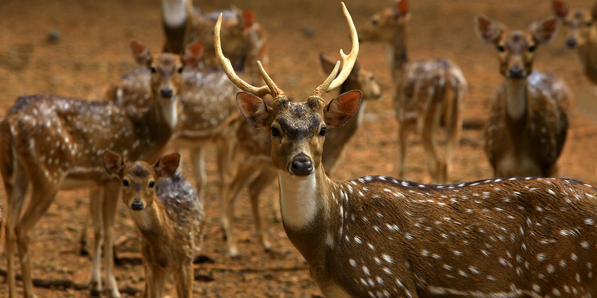 Protected area rich in biodiversity and wildlife experiences