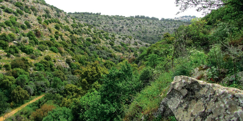 A glimpse of Horsely Hill station featuring beautiful landscapes and pleasant climate.