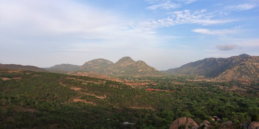 A distant view of the enchanting Horsley Hills with a cover of greenery and misty atmosphere