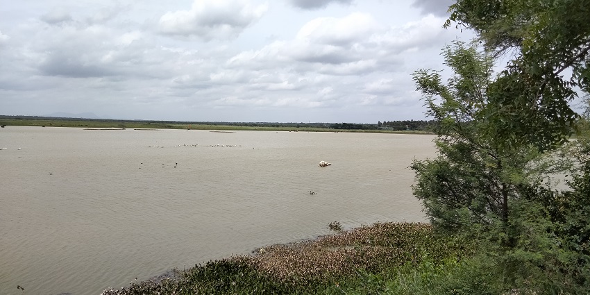 Scenic view of the Hoskote Lake, one of the places to visit near Ramanagara