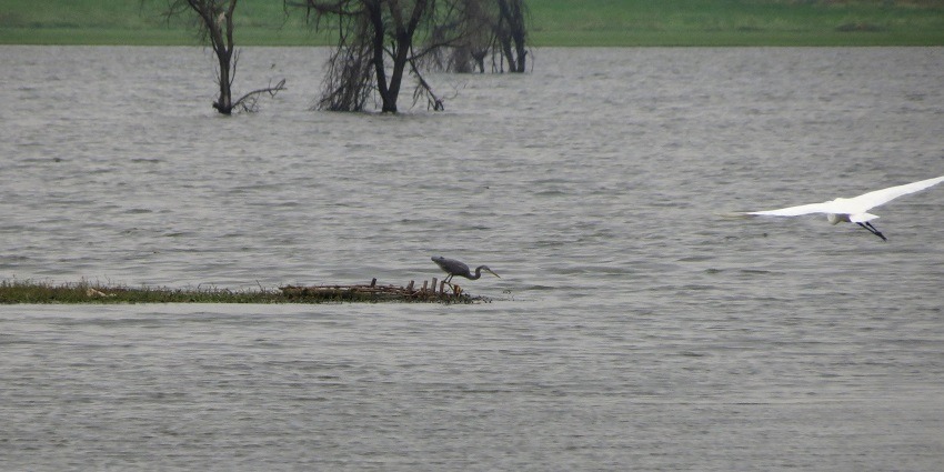 A beautiful capture of Hoskote Lake, a peaceful place to visit near Kolar