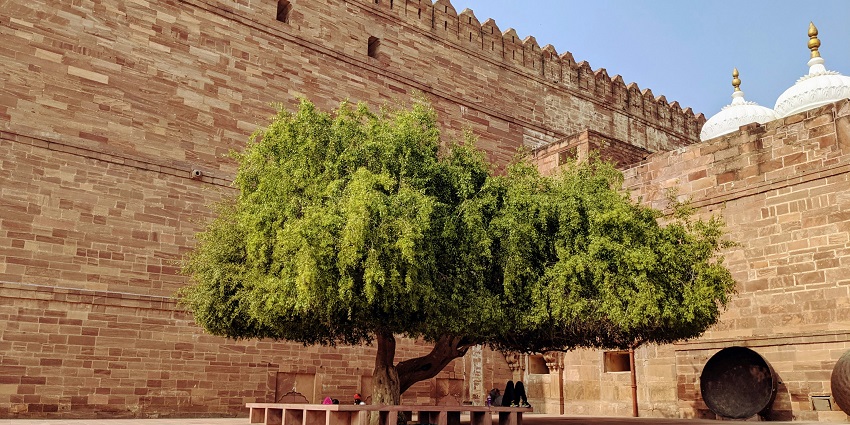 Rajkot Fort is an architectural marvel that is a sight to behold for travellers