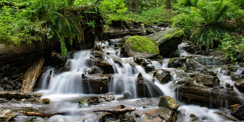 Suruli Waterfalls is a majestic attraction in Tamil Nadu that is perfect for a sightseeing holiday
