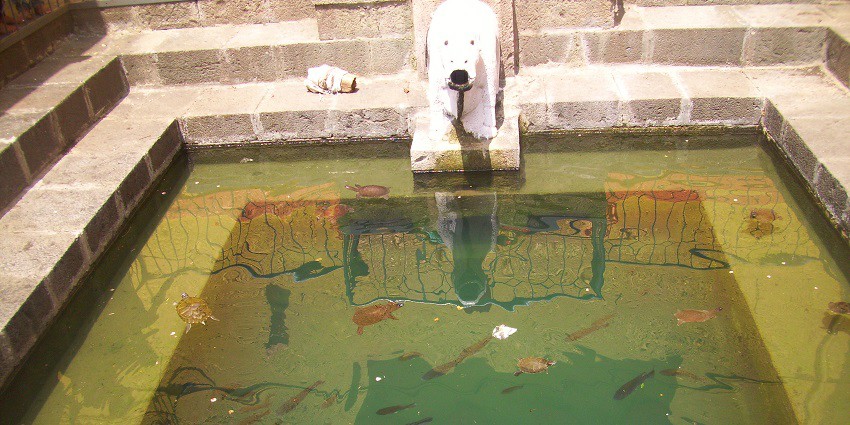 View of a pond inside the Baneshwar temple, offering a refreshing experience
