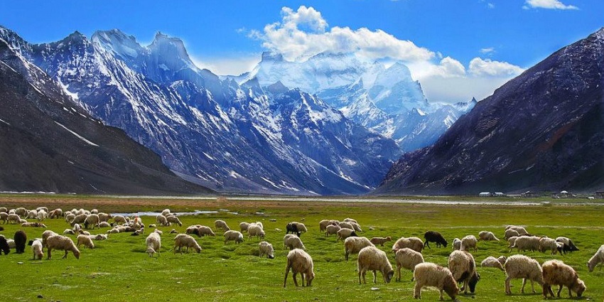 Panoramic view of the beautiful gazing field of the Ladakh amidst the mountain of Himalayas
