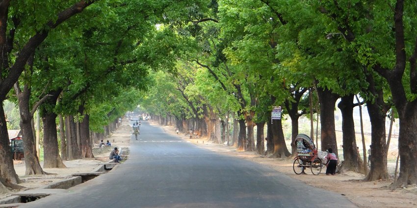 Panoramic view of the beautiful road passing through he lush green forest in the city