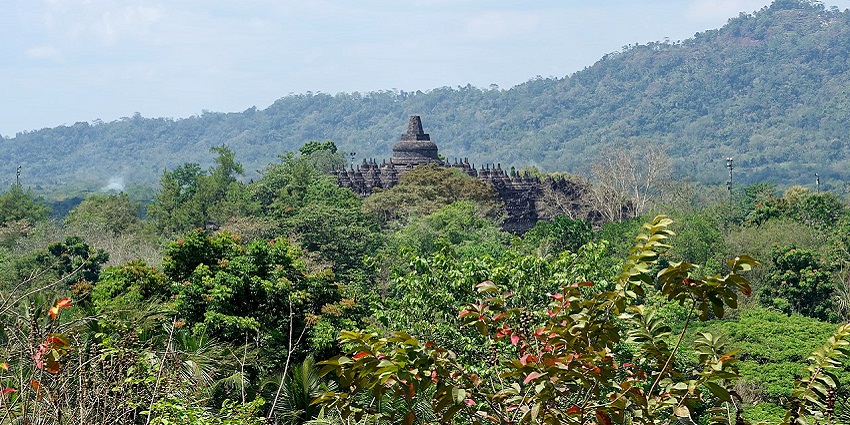 A beautiful picture offering an aerial view of the lush green Borobudur Temple