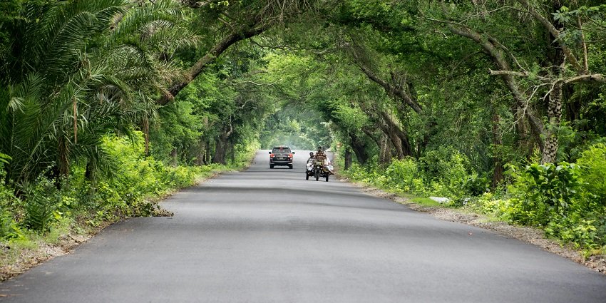 View of beautiful road leading to Kolad amidst greenery and inviting travellers to explore the place.