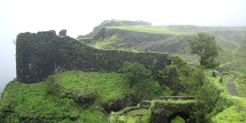 View of the walls of the fort covered with lush moss and shrubs
