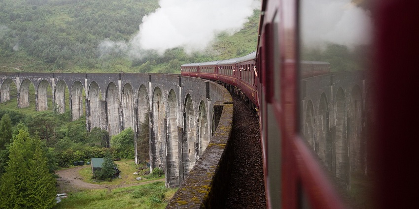 A breathtaking view of a lush green meadow from a window train during the day.