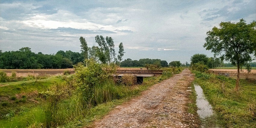 An image of a scenic road leading to Satpura National Park from Pachmarhi, Hoshangabad.