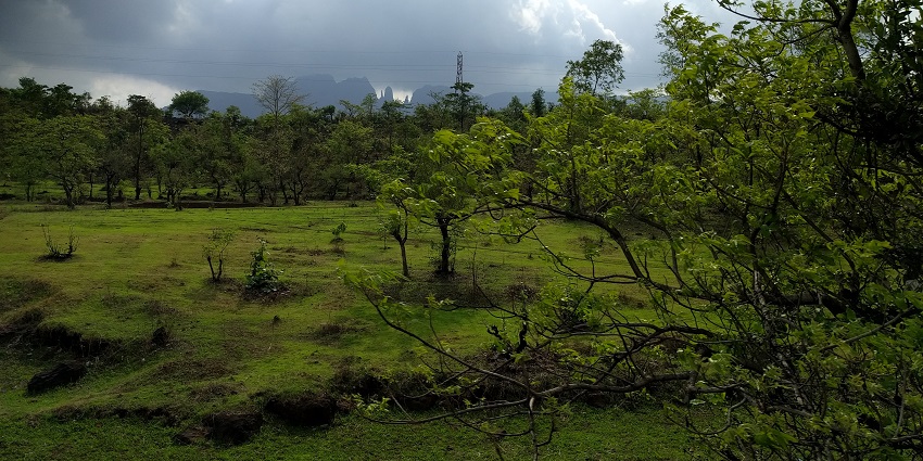 Stunning view of verdant landsapes of Igatpuri, a haven for nature lovers