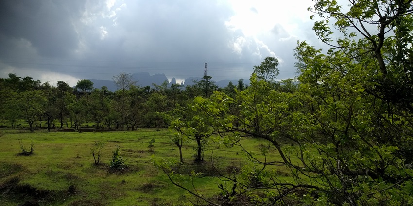 Lush green hills and winding road in Igatpuri during a serene misty morning.