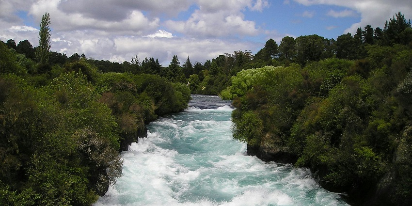 An image showing a river winding like the Indrayani River through lush trees, perfect for a peaceful escape.