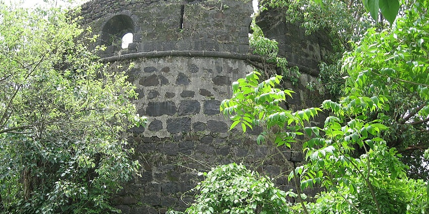 The ruins of Belapur Fort offer historical and adventurous opportunities to indulge in.