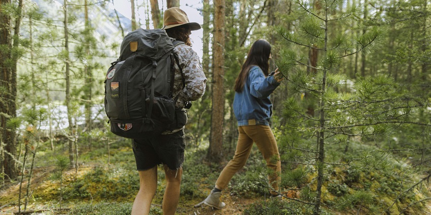 An image of visitors walking through lush trails in Van Vihar National Park.
