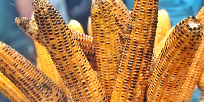 Things to do in Juhu Chowpatty include street food with sunset views and flavours.
