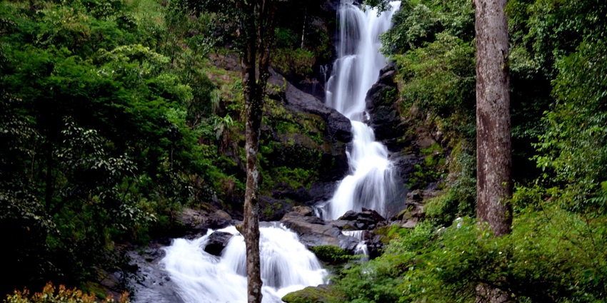 Iruppu Falls feature stunning waterfall surrounded by lush greenery and adventure.