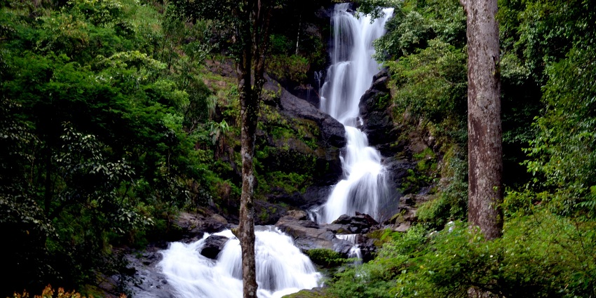 An awe-inspiring view of Iruppu Falls, one of the serene places to visit in Coorg.