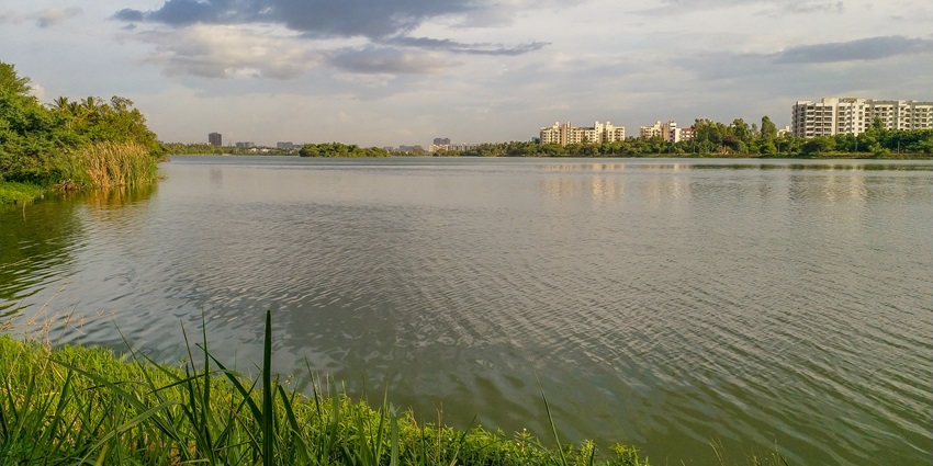 A serene view of Jakkur featuring shimmering blue waters and lush green vegetation.