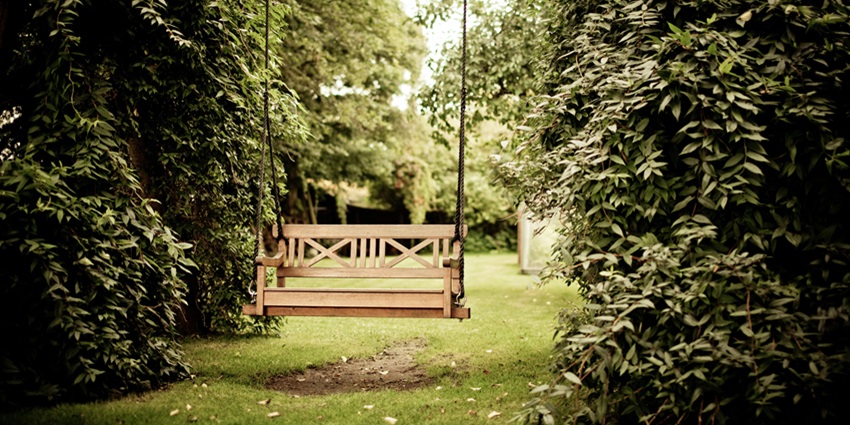 An image of Japanese Rose Garden, a beautiful public park in Nagpur's Civil Lines area.