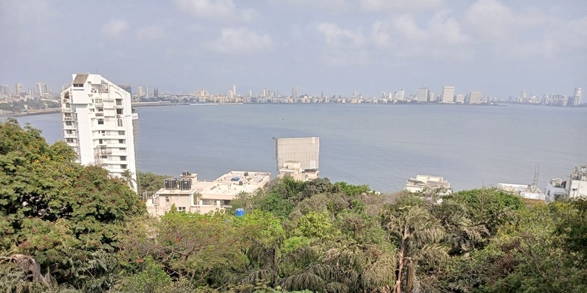 Lush greenery on the Jasai Beach, a scenic sea beach in Navi Mumbai, Maharashtra