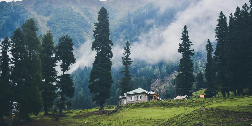 An image of Javadi Hills, a serene hill station near Chennai, surrounded by dense forests.