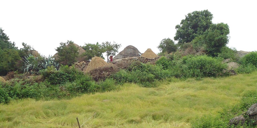Verdant hills of Jawadhu Hills, offering a nature escape away from the city.