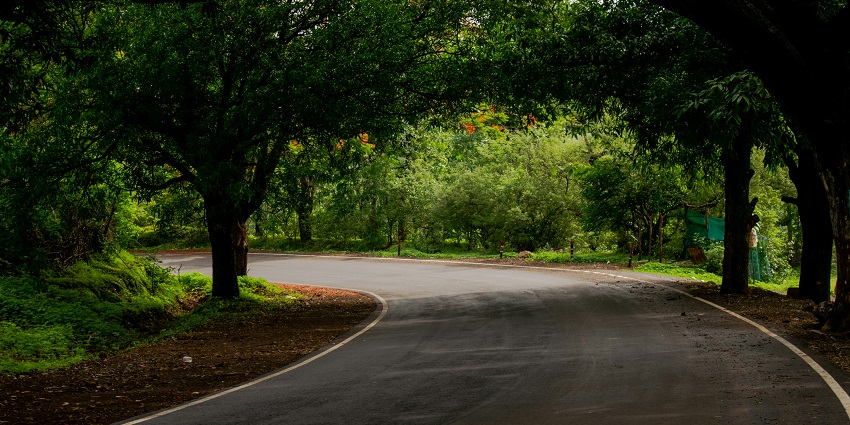Jawhar, surrounded by lush greenery, the best hill station in Maharashtra in summer.