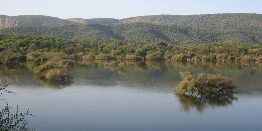 Jhalana Safari Park features thrilling night safaris with leopards and wildlife.