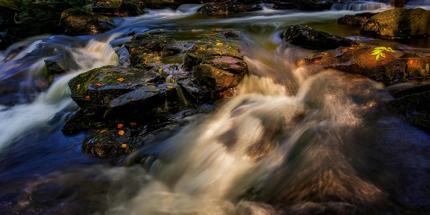An image showing Jhigariya Waterfall, a picturesque natural wonder surrounded by dense forests and tranquillity.