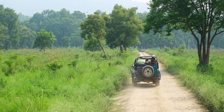 Deer spotted in Jim Corbett National Park during jungle safari near Delhi for travellers.