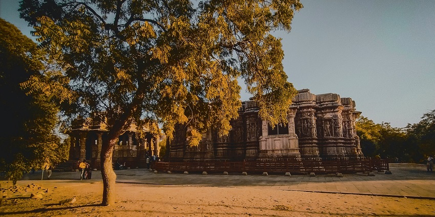 Image of a a tree in front of a large building - Jinsharanam Tirth Jain Temple, Palghar