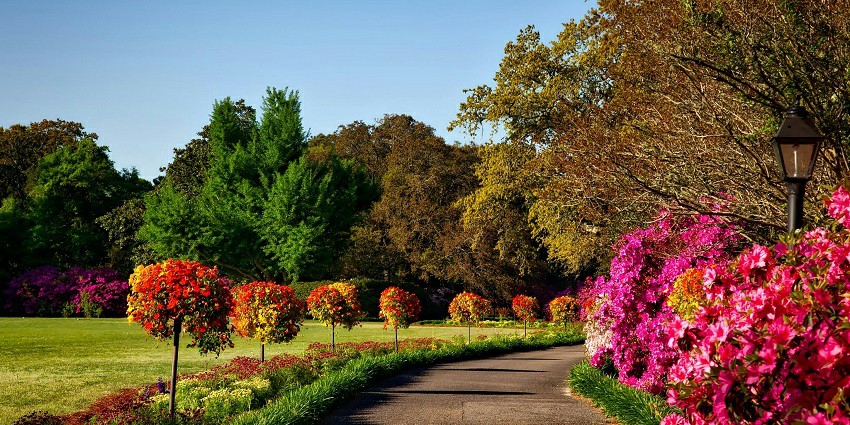 An image of a serene park similar to the Joggers Park, a perfect spot for relaxation.