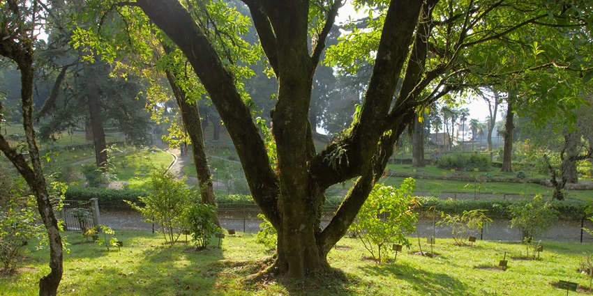 A lush green park with jogging tracks, ideal for fitness enthusiasts and nature lovers, one of the best places to visit in Juhu.