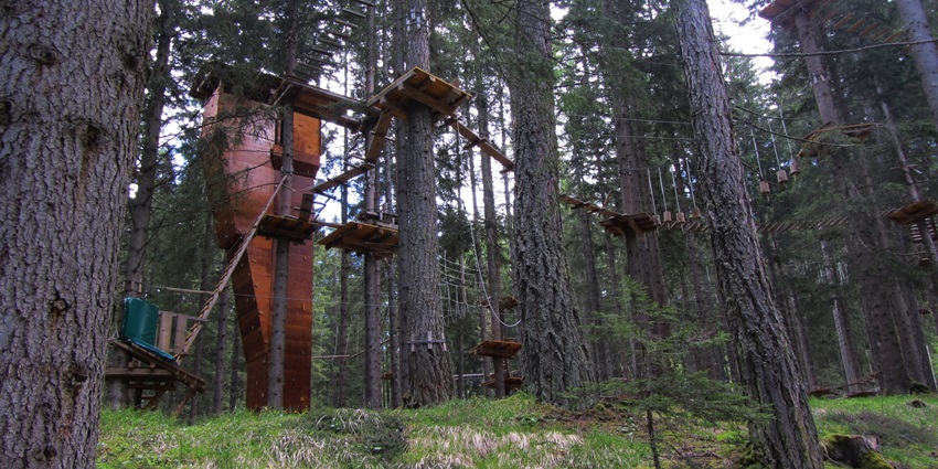 Scenic image of the beautiful Jungle Adventure Park surrounded by lush trees and trails