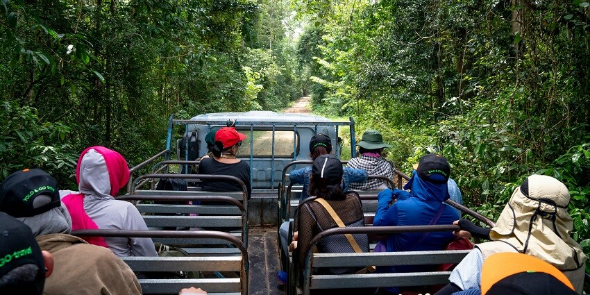 An image view from a jungle safari vehicle, capturing the lush landscapes of Panna National Park