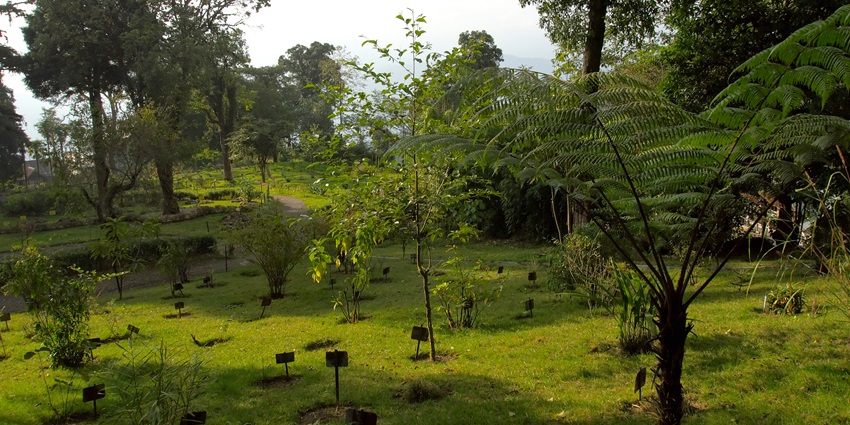 A lush green park with walking trails and picnic spots, providing a refreshing escape from city life.