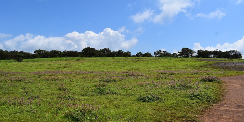 Beautiful Kaas Plateau, a popular tourist destination near the Sajjangad Fort.