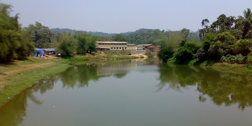 Scenic view of the Kabini River surrounded by lush greenery and wildlife